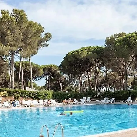 Studio 4 Personnes, Climatisé, Rez De Jardin *